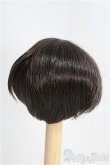 画像2: 6-7inch/ウィッグ I-25-04-06-3013-TO-ZI (2)
