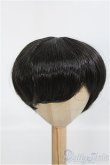 画像1: 9-10inch/ウィッグ I-25-03-23-2029-TO-ZI (1)
