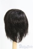 画像2: 7〜8inch/ウィッグ I-25-04-13-3015-TO-ZI (2)