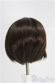 画像2: 6〜7inch/ウィッグ I-25-03-30-2016-TO-ZI (2)