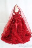 画像1: MDD/OF ドレスセット(薔薇) I-25-04-13-3081-TO-ZI (1)