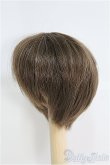 画像2: 7〜8inch/ウィッグ I-25-03-30-3017-TO-ZI (2)