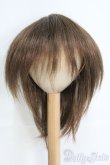 画像1: 9〜10inch/ウィッグ I-25-06-08-3029-TO-ZI (1)