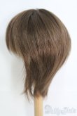 画像2: 9〜10inch/ウィッグ I-25-06-08-3029-TO-ZI (2)