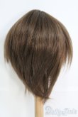 画像3: 9〜10inch/ウィッグ I-25-06-08-3029-TO-ZI (3)
