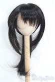 画像1: 9〜10inch/ウィッグ I-25-04-13-2026-TO-ZI (1)