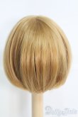 画像3: 7〜8inch/ウィッグ I-25-04-20-3016-TO-ZI (3)
