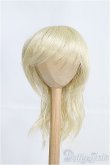 画像1: 9〜10inch/ウィッグ I-25-04-06-3028-TO-ZI (1)