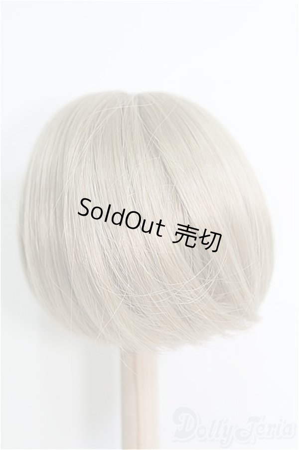 画像3: 【SALE】9〜10inch/ウィッグ I-25-01-26-2056-TO-ZI (3)