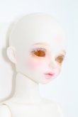 画像3: Myou Doll/1/4 Zuzana Princess Cinderella ver.Limited - Special R I-23-12-10-007-KN-ZI (3)