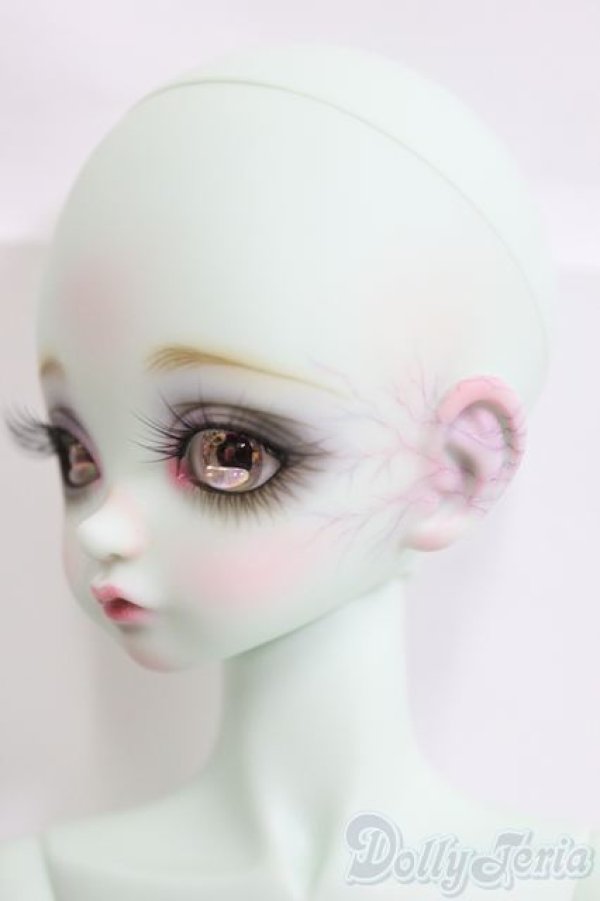 SALE】Peaks Woods/FOB L.Lottie-Dark Elves- I-24-07-07-1009