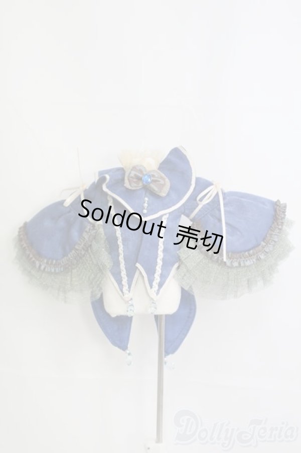 画像1: 幼SD/OF 青い鳥 L'oiseau bleu：ボークス製 I-25-04-27-2061-TO-ZI (1)