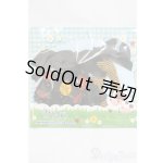 画像: ネオブライス/IF：BHCドレスセット I-25-04-20-3101-TO-ZI