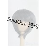 画像: 8inch/ウィッグ I-25-04-06-3020-TO-ZI