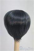 画像2: 8inch/ウィッグ I-25-04-06-3020-TO-ZI (2)