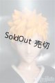 画像: azone/1/6ハイブリッドアクティブフィギュアNo.017『BLEACH』黒崎一護 I-25-06-15-1082-KN-ZI
