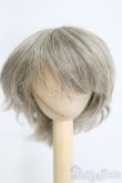 画像1: 7〜8inch/ウィッグ I-25-05-11-2011-KN-ZI (1)