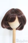 画像1: 8〜9inch/ウィッグ I-25-05-04-3028-TO-ZI (1)