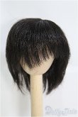 画像1: 7inch/ウィッグ I-25-04-06-2016-TO-ZI (1)
