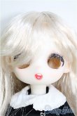 画像1: 【SALE】FATEMOONS/松果 I-24-11-10-1009-TO-ZI (1)
