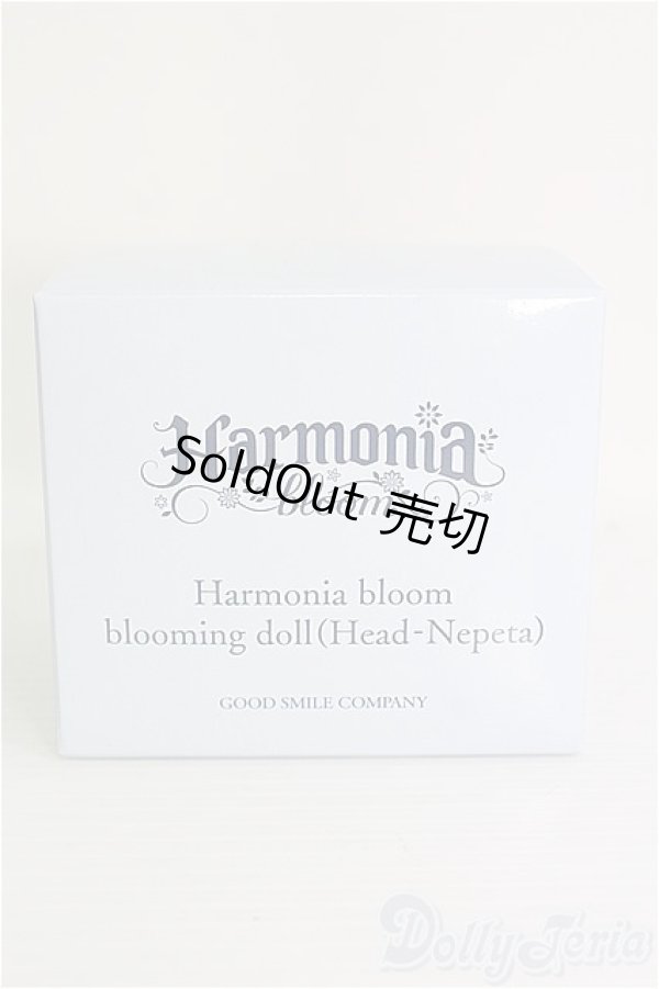 画像1: 【SALE】Harmonia bloom/ blooming doll(Head-Nepeta) I-24-11-17-1054-KN-ZI (1)