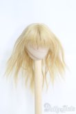画像1: 6inch/ウィッグ I-25-05-04-3015-KN-ZI (1)