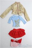 画像1: 【SALE】1/6(27cm)ドール/OF 衣装セット I-24-12-08-3153-TO-ZI (1)