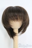 画像1: 7〜8inch/ウィッグ I-25-05-11-3028-KN-ZI (1)