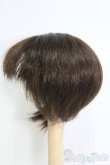 画像2: 7〜8inch/ウィッグ I-25-05-11-3028-KN-ZI (2)