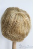 画像2: 【SALE】12〜13inch/ウィッグ I-24-11-17-3048-TO-ZI (2)