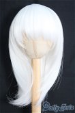 画像1: 【SALE】8〜9inch/ウィッグ I-24-11-24-1107-TO-ZI (1)