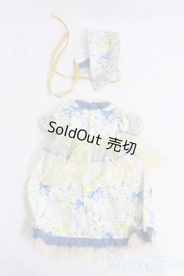 画像2: MSD/OF:永久薔薇園様製ドレスセット I-25-05-11-3074-KN-ZI (2)