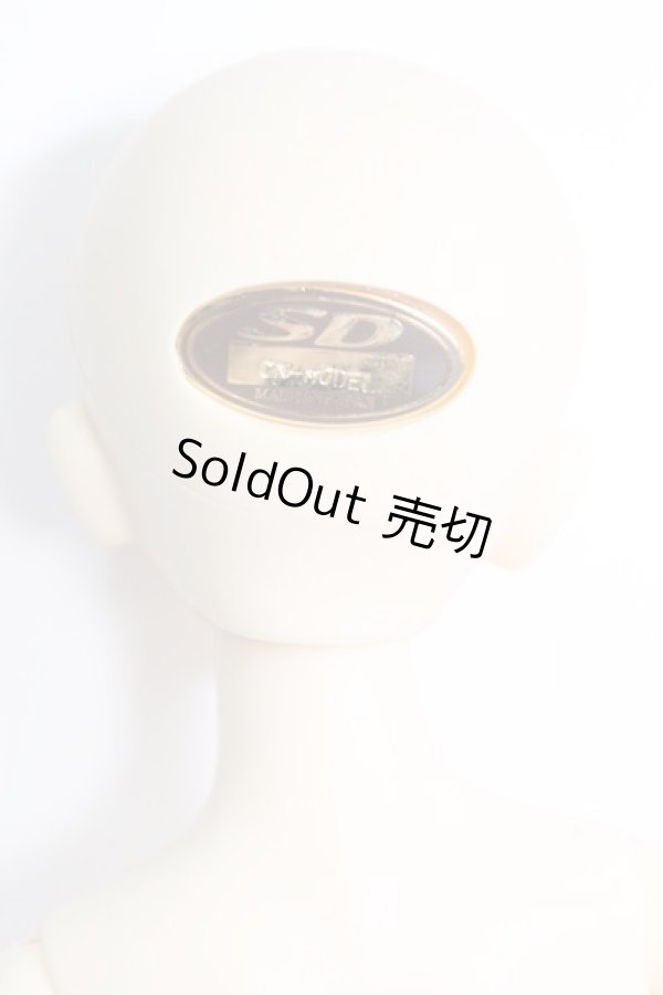 画像4: SDM/コーディネートモデル:F-17 I-24-02-04-1001-KN-ZI (4)