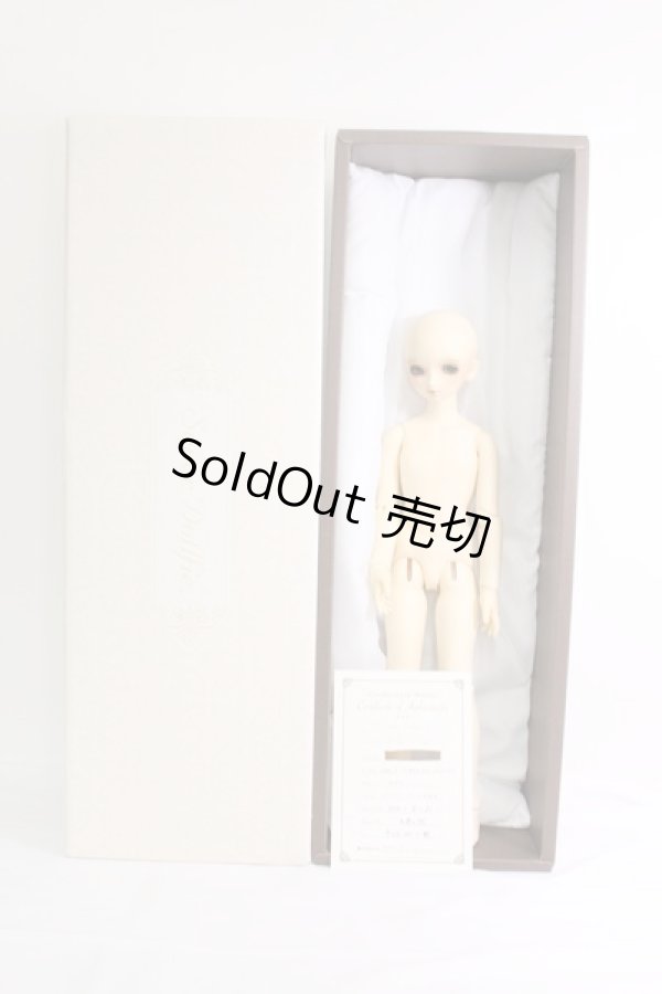 画像7: SDM/コーディネートモデル:F-17 I-24-02-04-1001-KN-ZI (7)