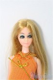 画像1: Dawn Doll/本体+衣装 I-25-02-16-1068-TN-ZI (1)