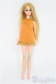 画像2: Dawn Doll/本体+衣装 I-25-02-16-1068-TN-ZI (2)