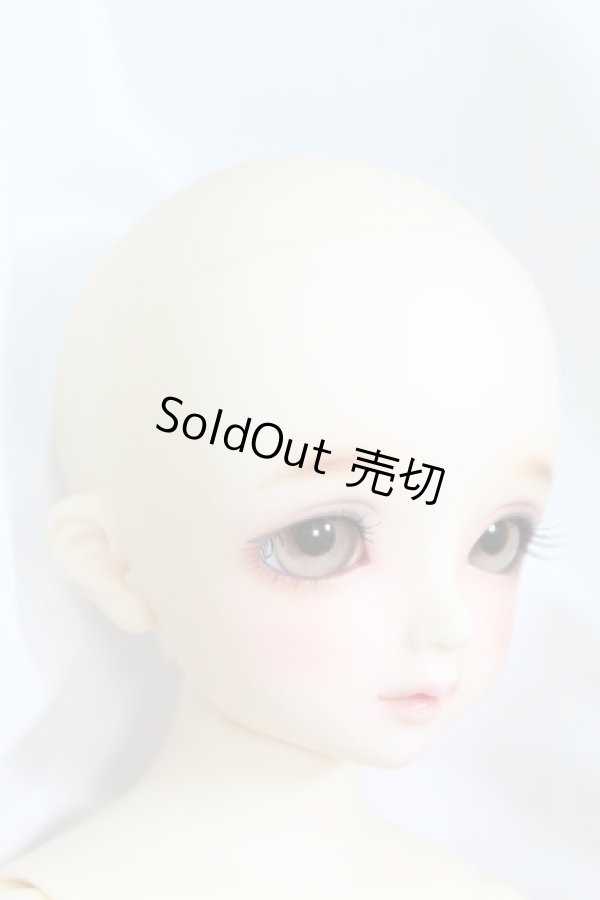 画像3: SDM/コーディネートモデル：F-50 I-24-02-11-1001-TO-ZI (3)