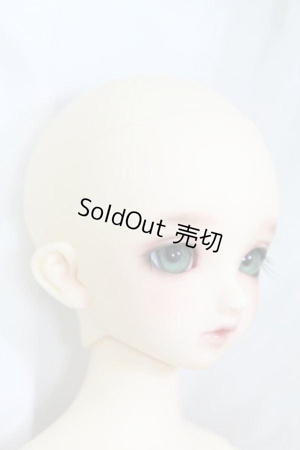 画像3: SDMGIRL/コーディネートモデル F33 I-24-02-11-1002-TO-ZI (3)