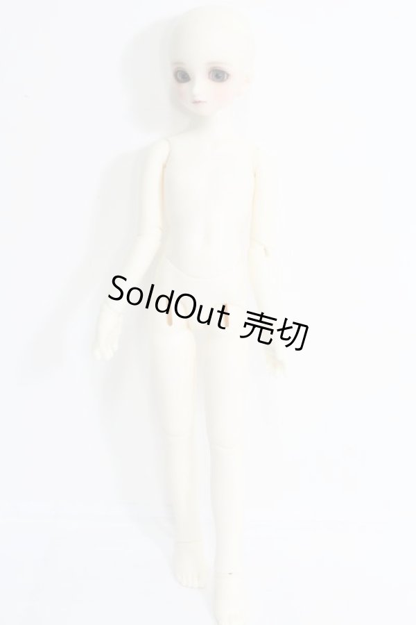 画像5: SDM/コーディネートモデル：白蓮(96番) I-24-02-11-1010-TO-ZI (5)