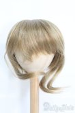 画像1: 9〜10inch/ウィッグ I-25-05-18-2042-TO-ZI (1)