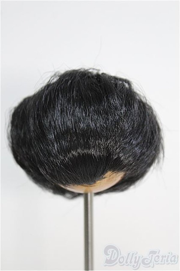 画像1: 【SALE】6〜7inch/ウィッグ I-24-12-01-3023-TO-ZI (1)