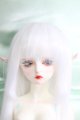 画像: Gem Of Doll/Gaia フルセット I-24-03-03-1004-TO-ZI
