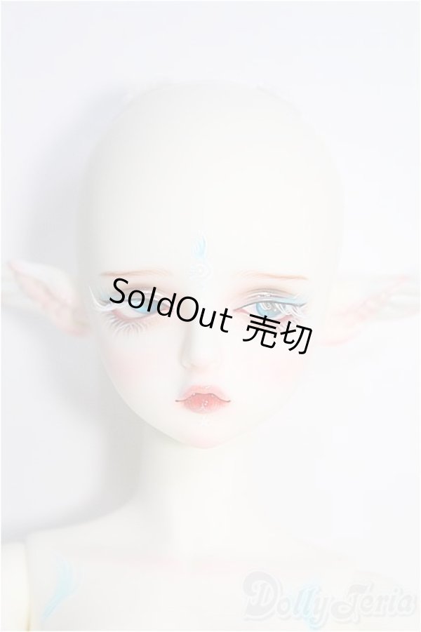 画像2: 【SALE】Gem Of Doll/Gaia フルセット I-24-11-17-1004-TO-ZI (2)