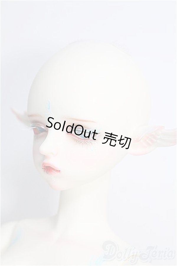 画像3: Gem Of Doll/Gaia フルセット I-24-11-17-1004-TO-ZI (3)