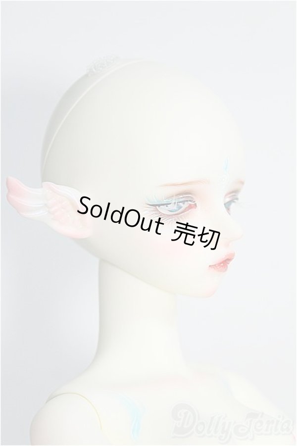 画像4: Gem Of Doll/Gaia フルセット I-24-11-17-1004-TO-ZI (4)