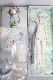 画像5: 【SALE】Gem Of Doll/Gaia フルセット I-24-11-17-1004-TO-ZI (5)