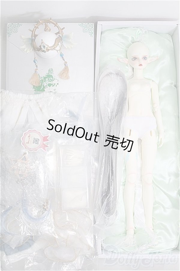 画像5: Gem Of Doll/Gaia フルセット I-24-11-17-1004-TO-ZI (5)