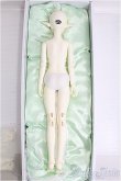 画像6: 【SALE】Gem Of Doll/Gaia フルセット I-24-11-17-1004-TO-ZI (6)