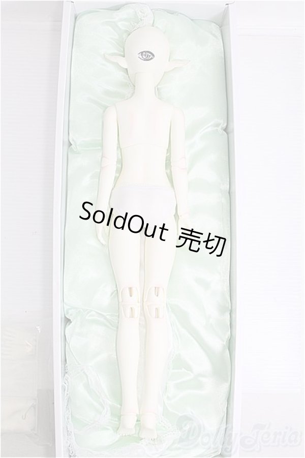 画像6: Gem Of Doll/Gaia フルセット I-24-11-17-1004-TO-ZI (6)