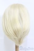画像3: 8〜9inch/ウィッグ：48-DD-88【新品商品】 I-25-05-18-2050-TO-ZI (3)